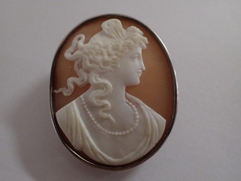 Kamébrosch infattad i silver 1898