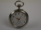 FICKUR i Silver