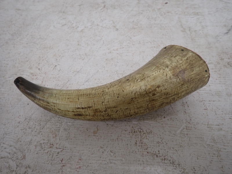 HORN