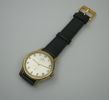 ARMBANDSUR FORTIS