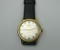 ARMBANDSUR FORTIS