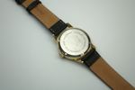 ARMBANDSUR FORTIS