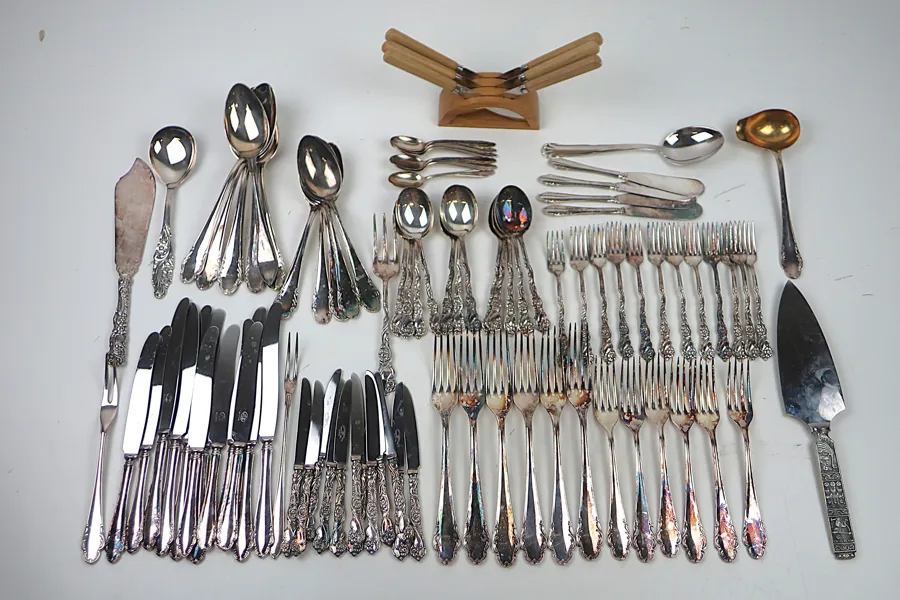 DIVERSE NYSILVERBESTICK
