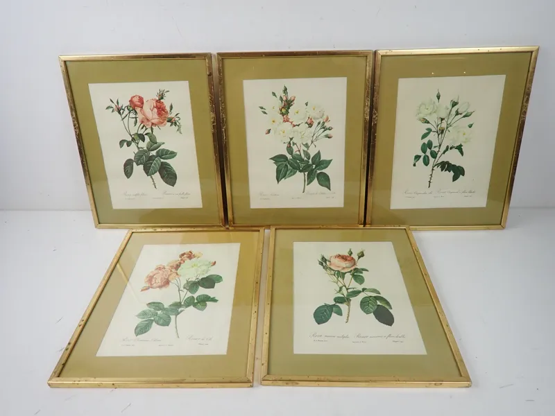 5 st TRYCK P. J Redoute, prints