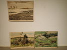 3 st SKOLPLANSCHER