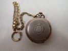 FICKUR i Silver