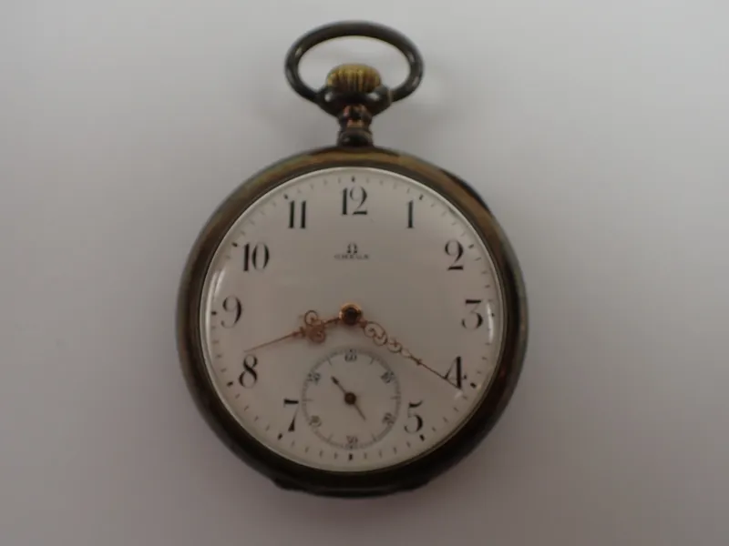 FICKUR Omega i Silver