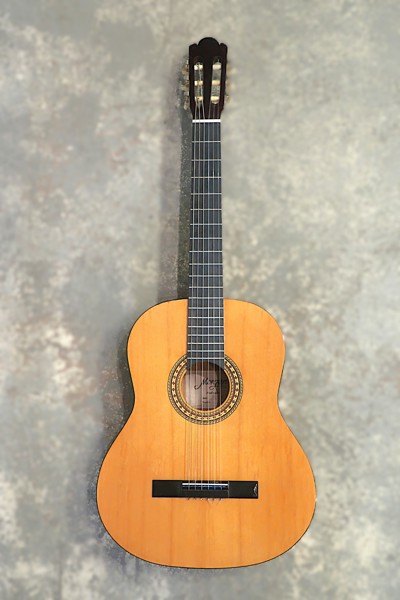 GITARR MORGAN