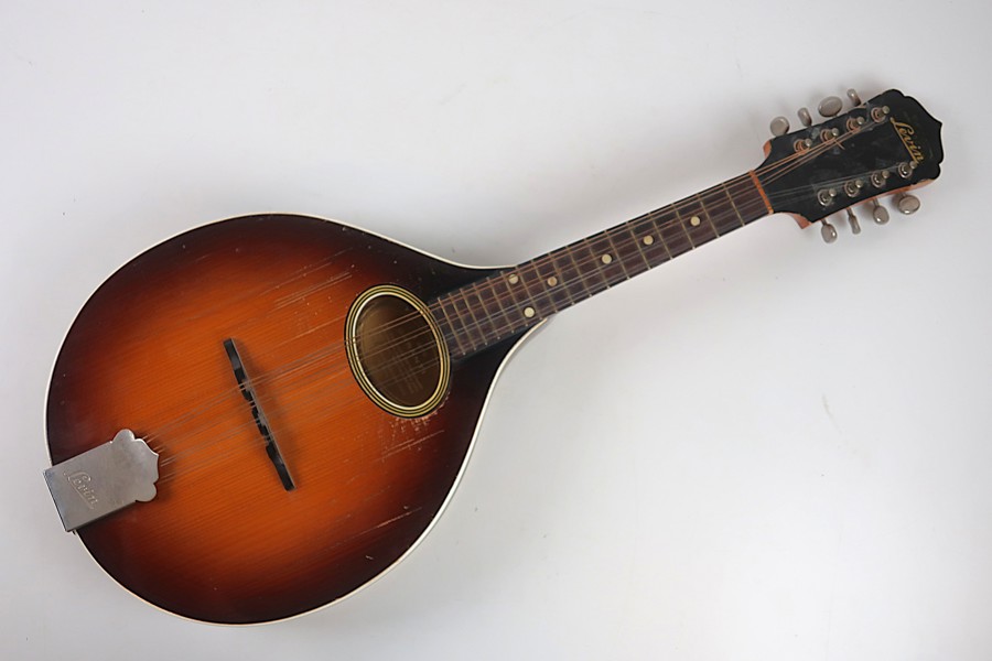 MANDOLIN. LEVIN