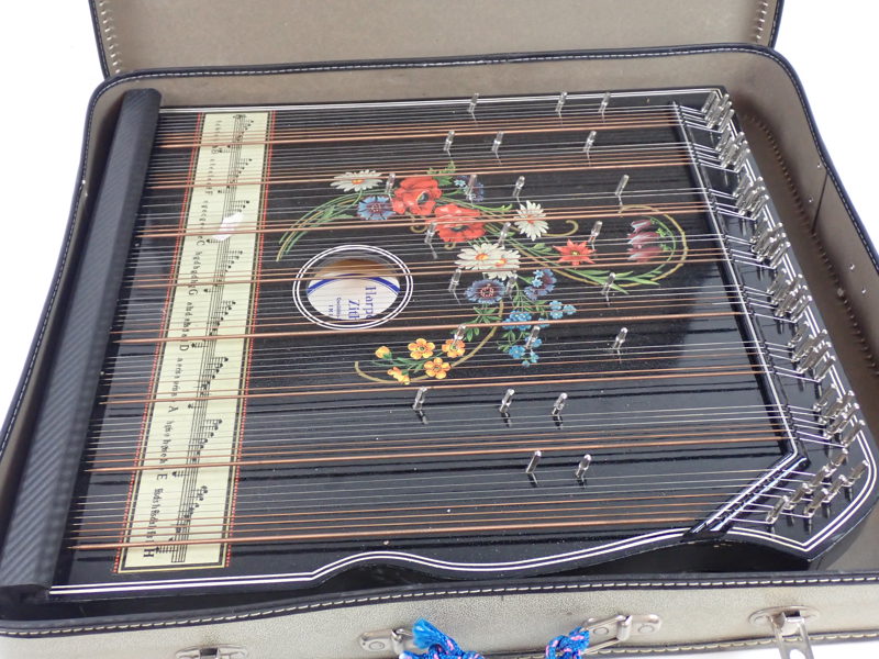CITRA Harpeleik Zither
