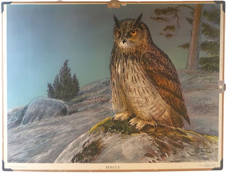 SKOLPLANSCH "BERGUV"