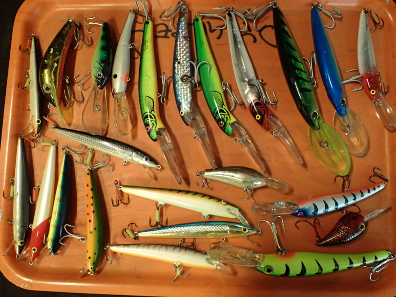 Fiskedrag