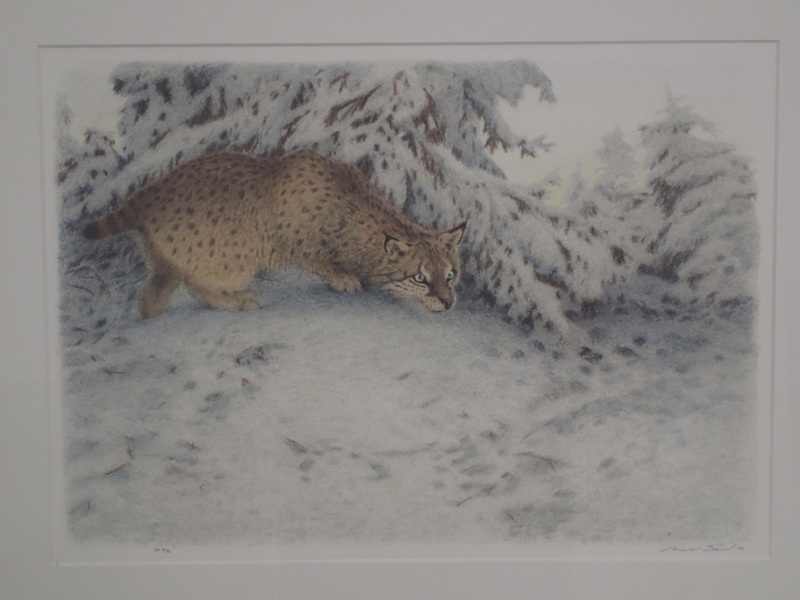 Lennart Sand  lito  EA  38x54cm bildyta