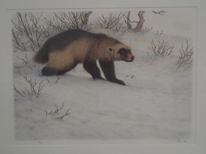 Lennart Sand  lito 223/320    39x53cm bildyta