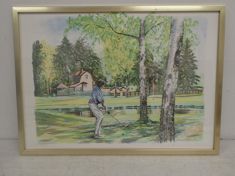 Johan Thunberg  lito  236/250   48x68cm bildyta