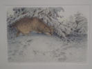 Lennart Sand  lito  EA  38x54cm bildyta