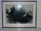 "Skogen" Gunnar Thorén, ramad litografi