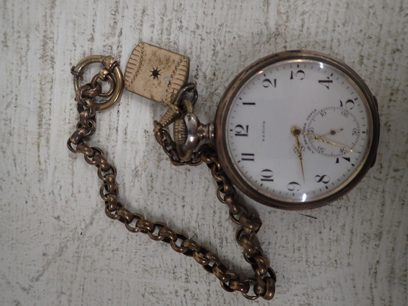 Fickur i silver  Zenith