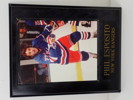 IDOLTAVLA "Phil Esposito" New York Rangers