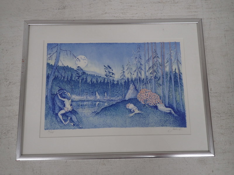 Jerker Andersson Lito 17/225 28x42cm bildyta