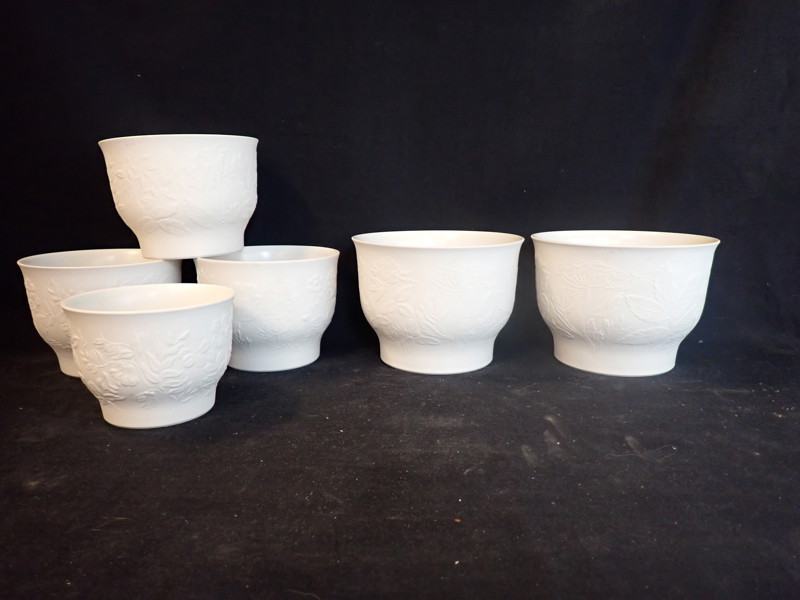 6 st YTTERFODER "Suvi" Arabia