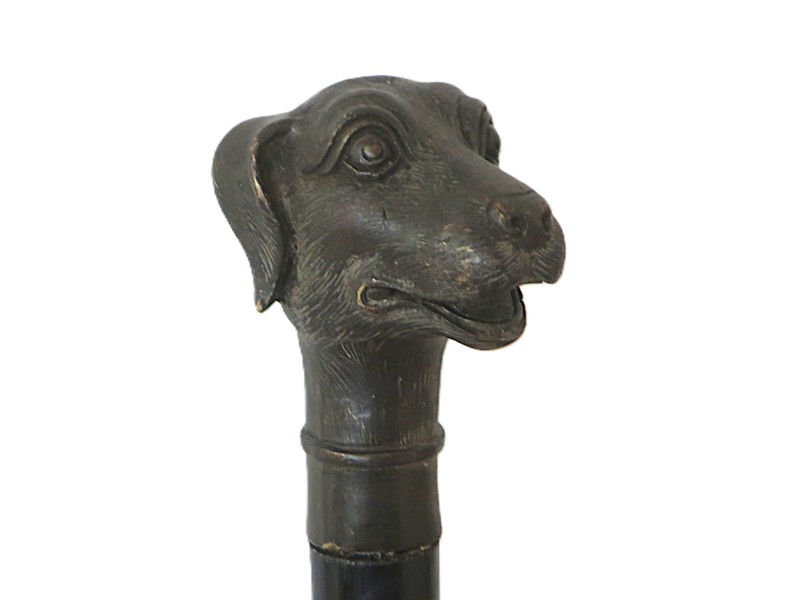 KÄPP med "Hundhuvud" i Brons